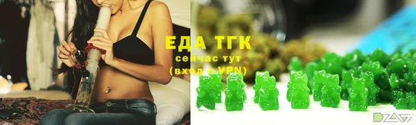 дмт Богородицк