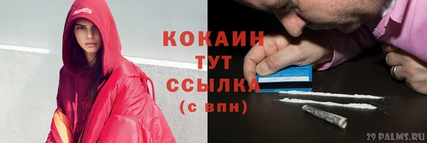 альфа пвп Бородино