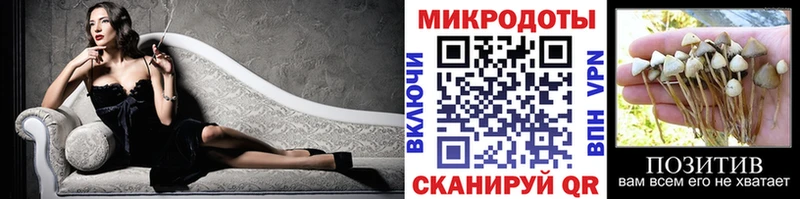 Купить закладки  Семилуки  Галлюциногенные грибы мицелий 